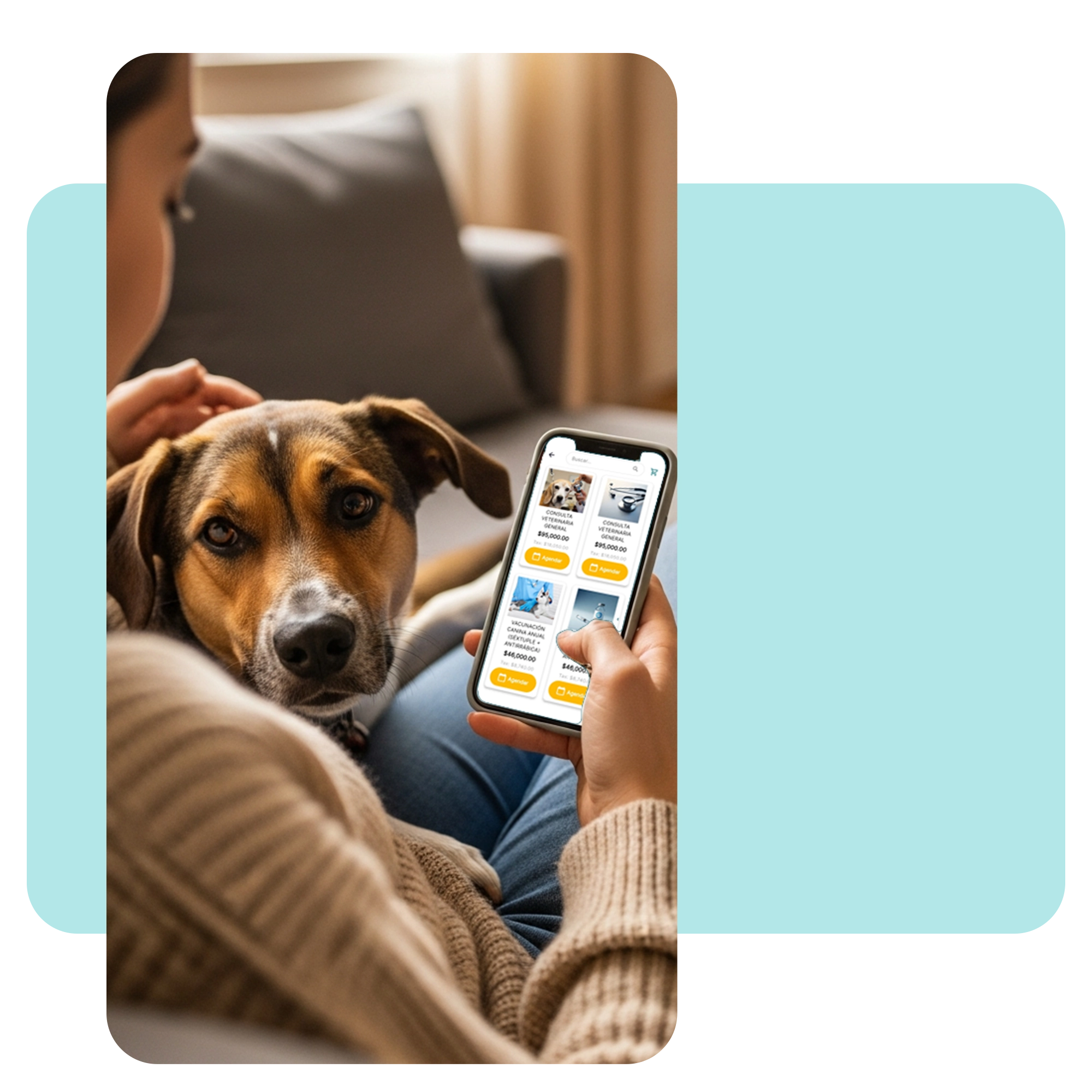 Dueño de mascota acariciando a su perro mientras usa la app para agendar un servicio de grooming y baño. · 2