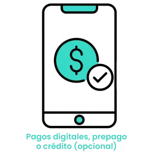 Icono de moneda con signo de verificación en un móvil, representando pagos digitales y opciones de prepago. · 4